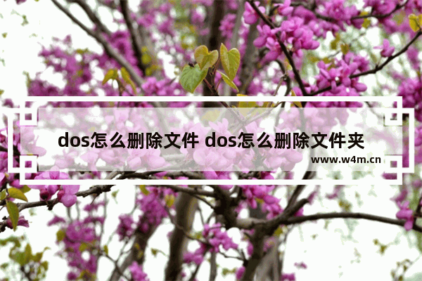 dos怎么删除文件 dos怎么删除文件夹