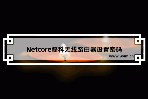 Netcore磊科无线路由器设置密码