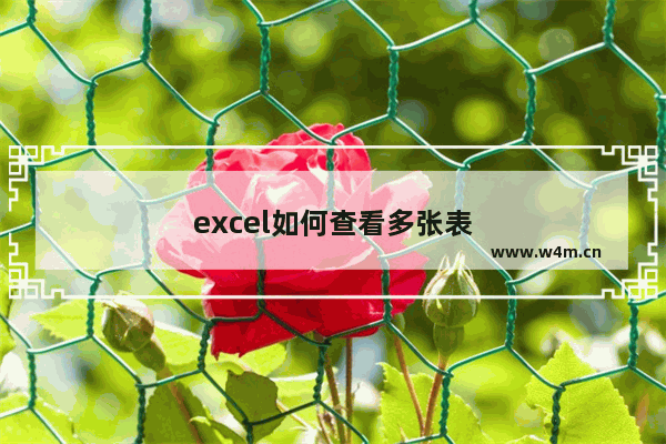 excel如何查看多张表