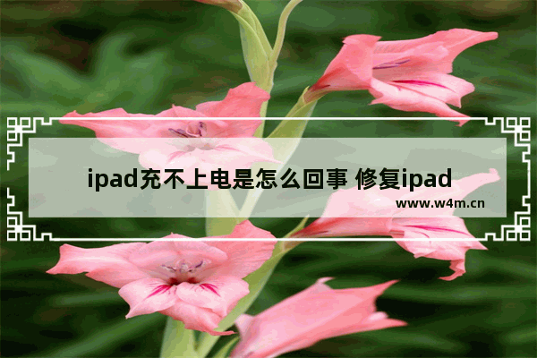 ipad充不上电是怎么回事 修复ipad充不上电的方法