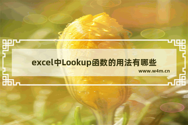 excel中Lookup函数的用法有哪些