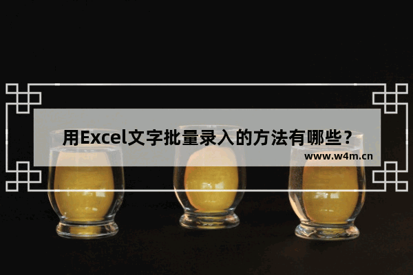 用Excel文字批量录入的方法有哪些？