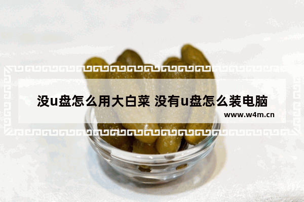 没u盘怎么用大白菜 没有u盘怎么装电脑