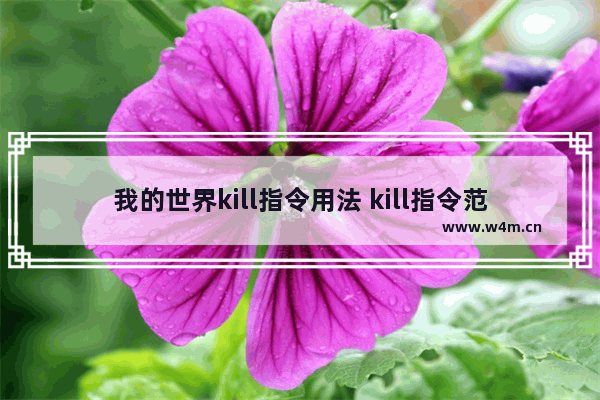 我的世界kill指令用法 kill指令范围内的生物介绍