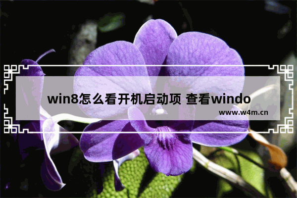 win8怎么看开机启动项 查看windows开机启动项