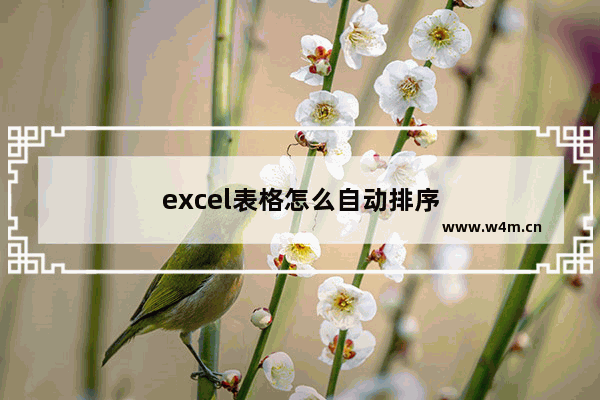 excel表格怎么自动排序