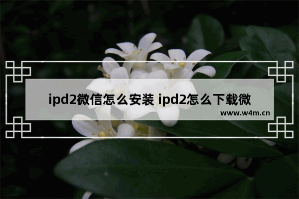 ipd2微信怎么安装 ipd2怎么下载微信？