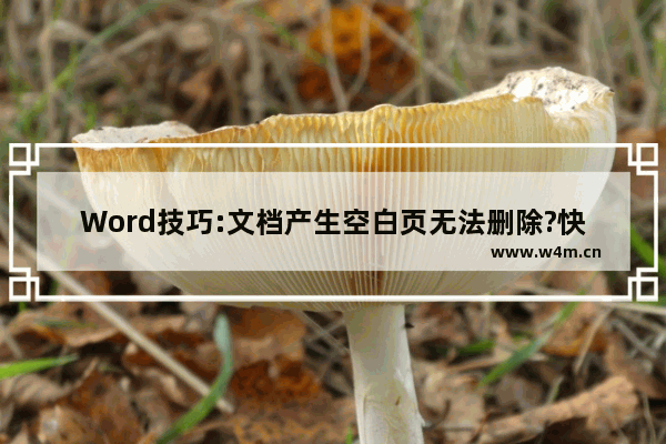 Word技巧:文档产生空白页无法删除?快来这里看下正确方法吧