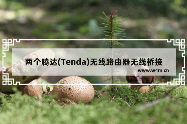 两个腾达(Tenda)无线路由器无线桥接设置教程