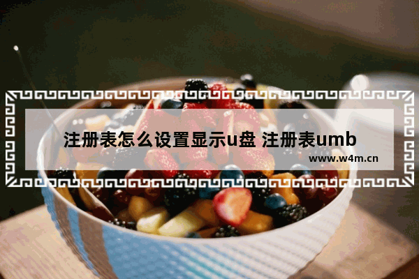 注册表怎么设置显示u盘 注册表umb