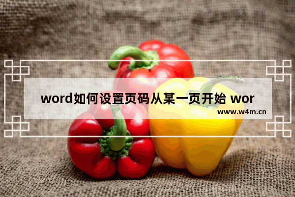 word如何设置页码从某一页开始 word页码设置基础知识盘点