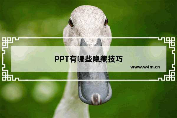 PPT有哪些隐藏技巧