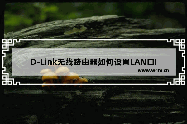 D-Link无线路由器如何设置LAN口IP地址？(如何在D-Link无线路由器中设置局域网端口的IP地址？)