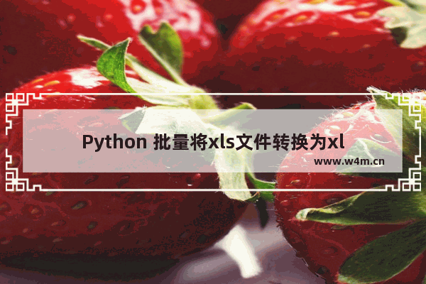 Python 批量将xls文件转换为xlsx