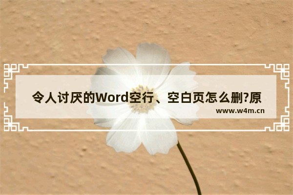 令人讨厌的Word空行、空白页怎么删?原来只要一个键就能解决