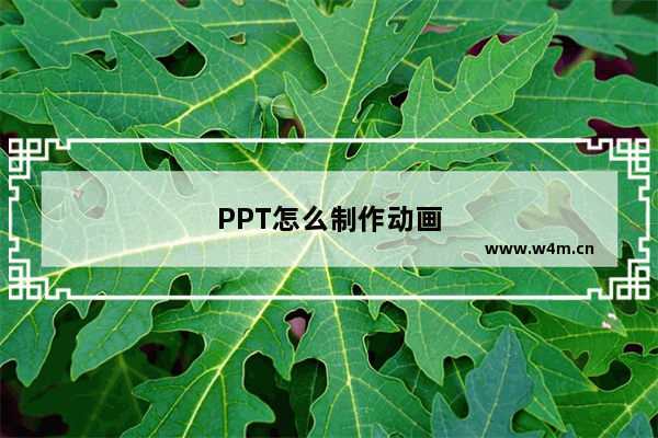 PPT怎么制作动画