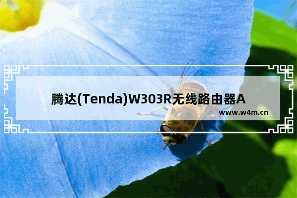 腾达(Tenda)W303R无线路由器ADSL设置上网方法