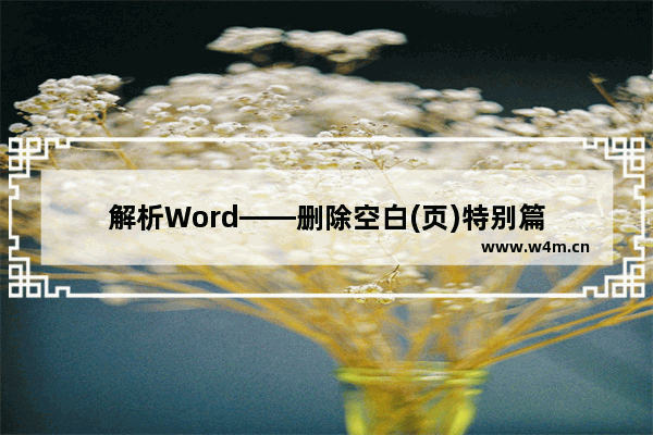 解析Word——删除空白(页)特别篇