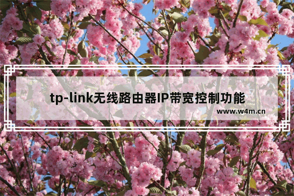 tp-link无线路由器IP带宽控制功能分配带宽设置图解