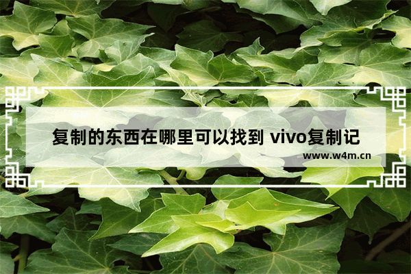 复制的东西在哪里可以找到 vivo复制记录在哪里可以找到