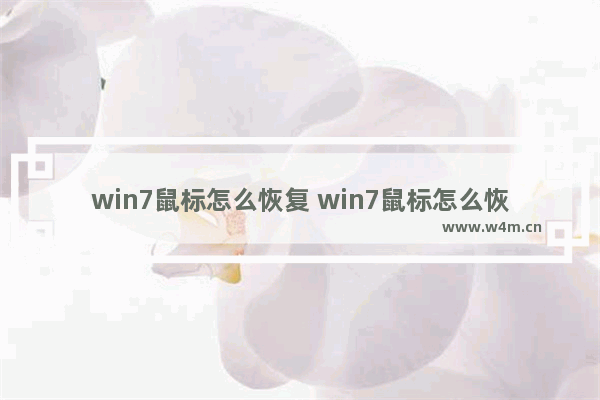 win7鼠标怎么恢复 win7鼠标怎么恢复默认设置