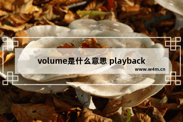 volume是什么意思 playback是什么意思