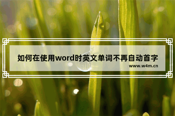 如何在使用word时英文单词不再自动首字母大写