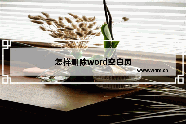 怎样删除word空白页