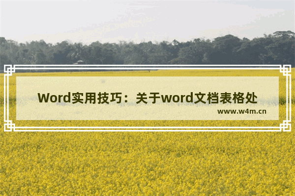 Word实用技巧：关于word文档表格处理常用技巧