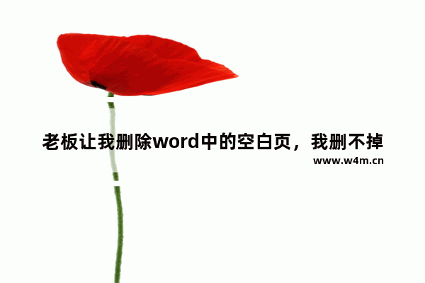 老板让我删除word中的空白页，我删不掉，同事点点鼠标就搞定