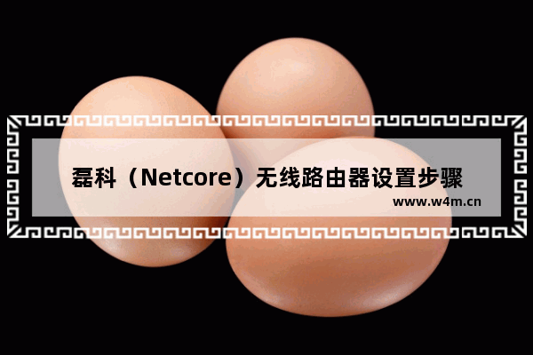 磊科（Netcore）无线路由器设置步骤(图文教程)