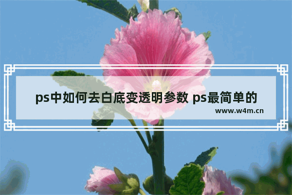 ps中如何去白底变透明参数 ps最简单的抠图方法