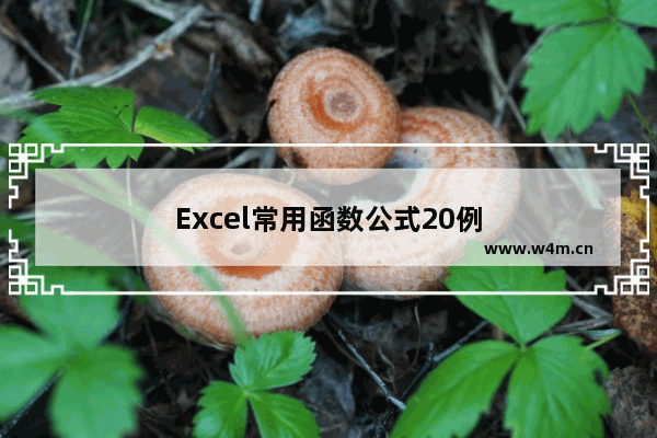 Excel常用函数公式20例