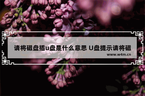 请将磁盘插u盘是什么意思 U盘提示请将磁盘插入驱动器的解决方法