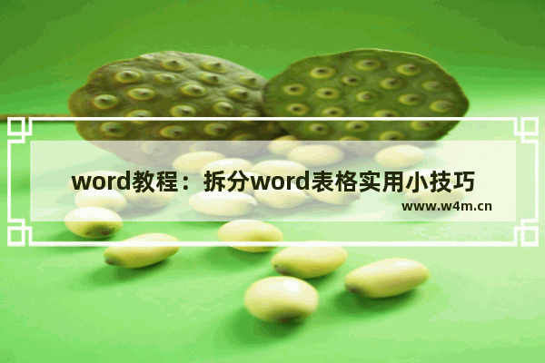 word教程：拆分word表格实用小技巧