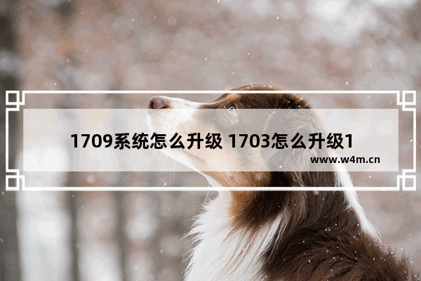 1709系统怎么升级 1703怎么升级1803