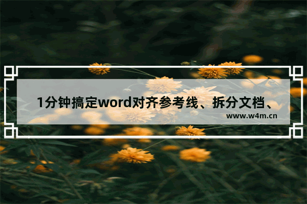 1分钟搞定word对齐参考线、拆分文档、Word转PPT教程