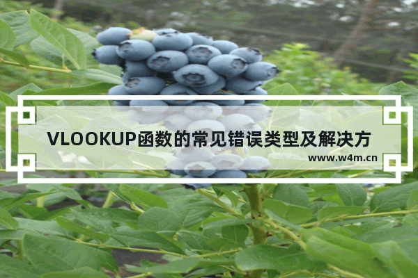 VLOOKUP函数的常见错误类型及解决方法