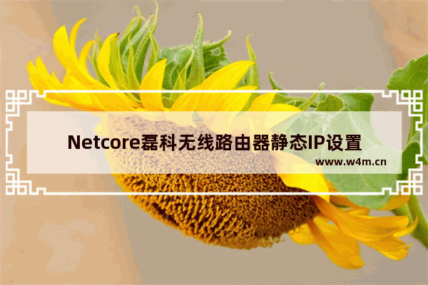 Netcore磊科无线路由器静态IP设置具体步骤