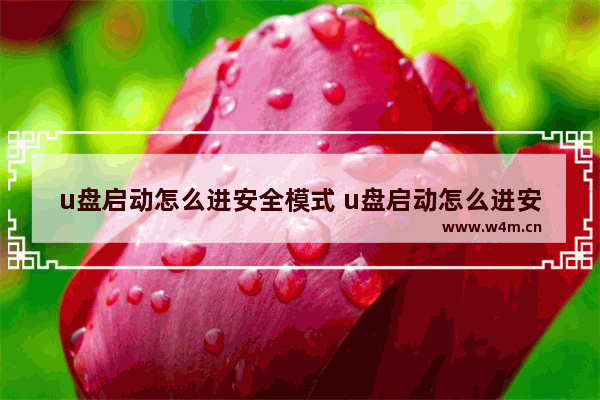 u盘启动怎么进安全模式 u盘启动怎么进安全模式进不去