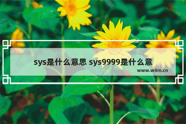 sys是什么意思 sys9999是什么意思