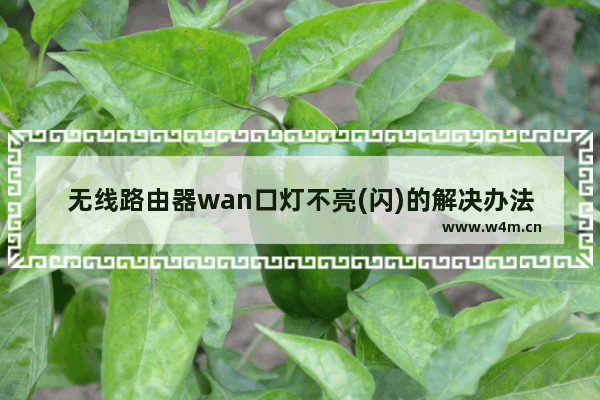 无线路由器wan口灯不亮(闪)的解决办法