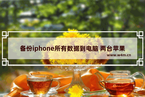 备份iphone所有数据到电脑 两台苹果手机数据迁移教程