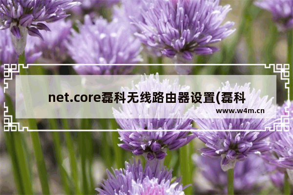 net.core磊科无线路由器设置(磊科nw614路由器设置)