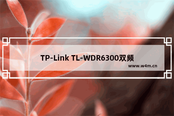 TP-Link TL-WDR6300双频无线路由器如何设置