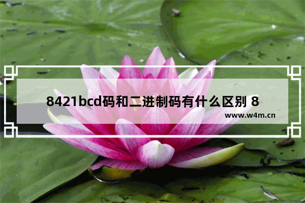 8421bcd码和二进制码有什么区别 8421码可以比较大小吗