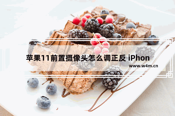 苹果11前置摄像头怎么调正反 iPhone原相机完全操作指南