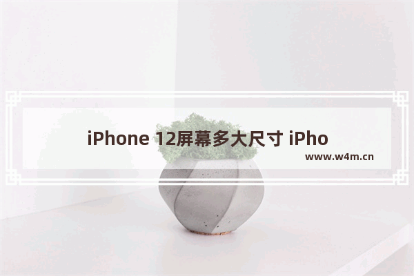 iPhone 12屏幕多大尺寸 iPhone 12全系对比