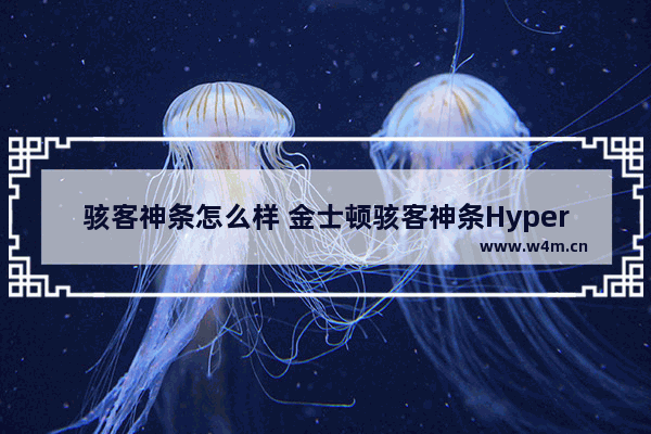 骇客神条怎么样 金士顿骇客神条HyperX FURY测评