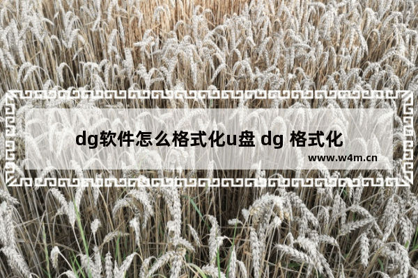 dg软件怎么格式化u盘 dg 格式化